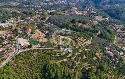 ÇÖĞMEN'DE GÖCEK VE MUHTEŞEM KOYLARA YAKIN KÖY "TARLA"