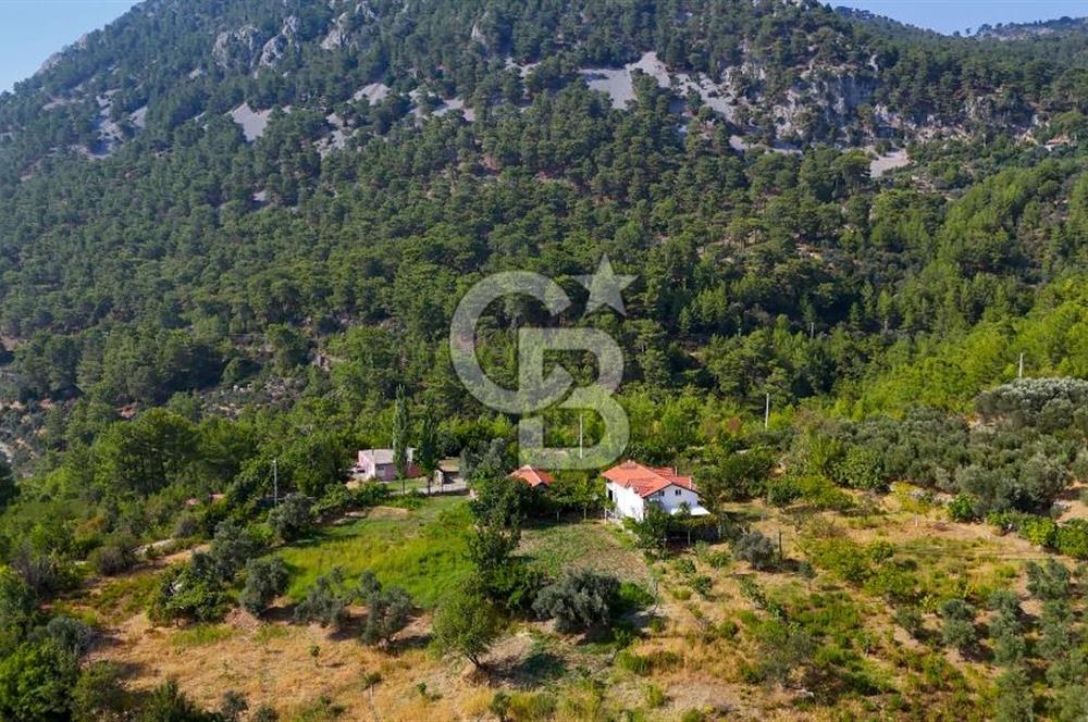 ÇÖĞMEN'DE GÖCEK VE MUHTEŞEM KOYLARA YAKIN KÖY "TARLA"