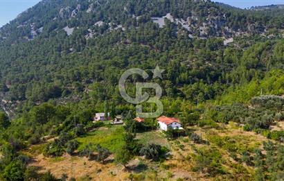 ÇÖĞMEN'DE GÖCEK VE MUHTEŞEM KOYLARA YAKIN KÖY "TARLA"