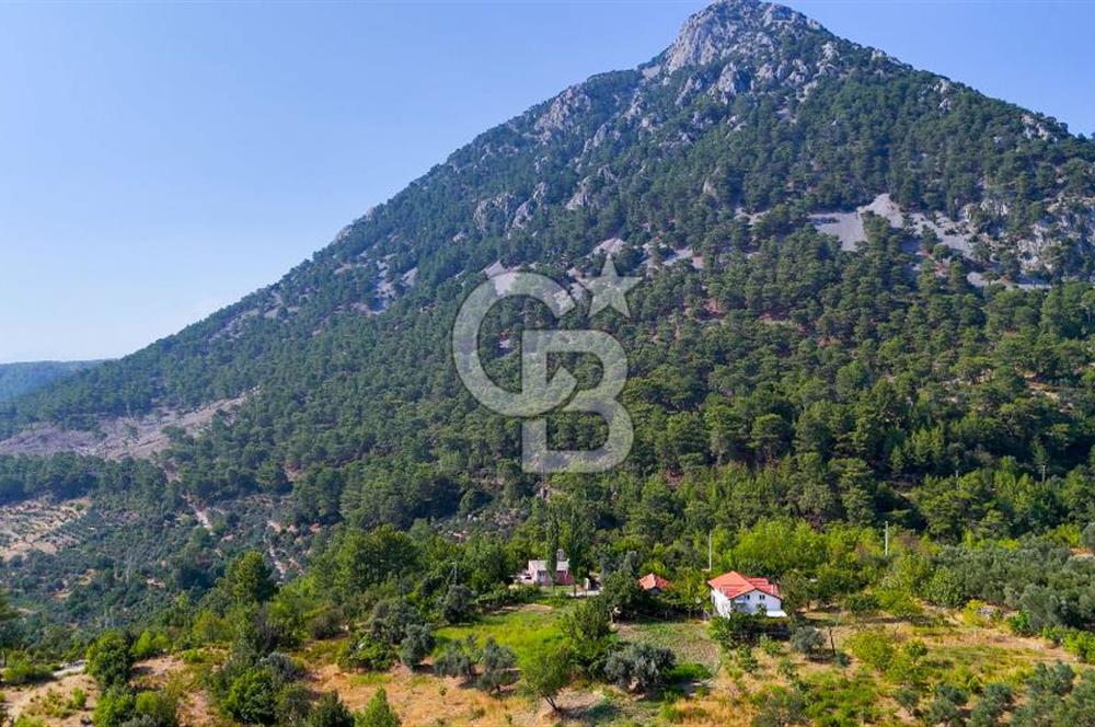 ÇÖĞMEN'DE GÖCEK VE MUHTEŞEM KOYLARA YAKIN KÖY "TARLA"