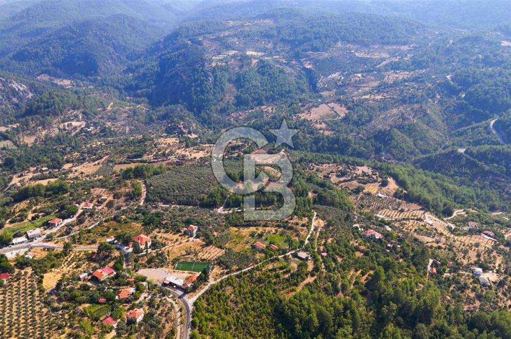 ÇÖĞMEN'DE GÖCEK VE MUHTEŞEM KOYLARA YAKIN KÖY "TARLA"