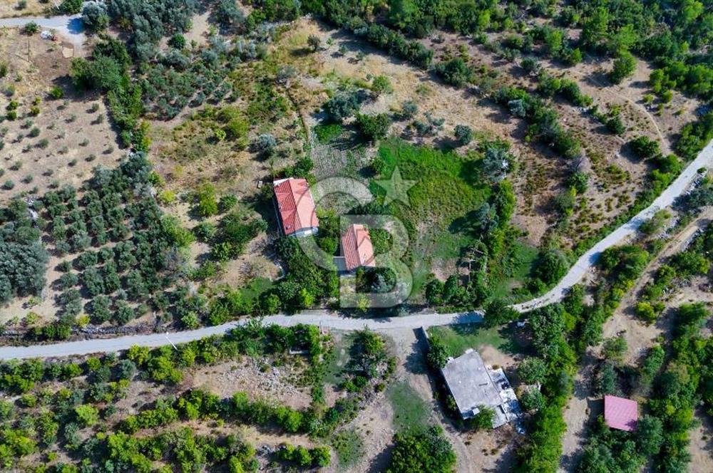 ÇÖĞMEN'DE GÖCEK VE MUHTEŞEM KOYLARA YAKIN KÖY "TARLA"