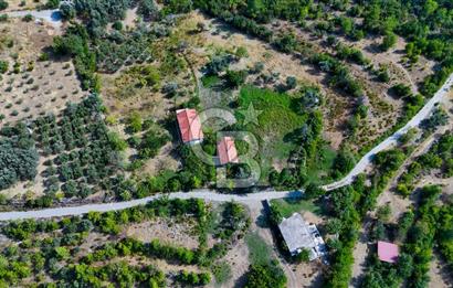 ÇÖĞMEN'DE GÖCEK VE MUHTEŞEM KOYLARA YAKIN KÖY "TARLA"