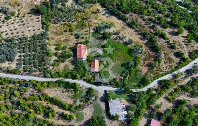 ÇÖĞMEN'DE GÖCEK VE MUHTEŞEM KOYLARA YAKIN KÖY "TARLA"