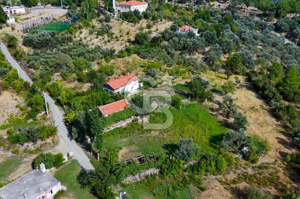 ÇÖĞMEN'DE GÖCEK VE MUHTEŞEM KOYLARA YAKIN KÖY "TARLA"