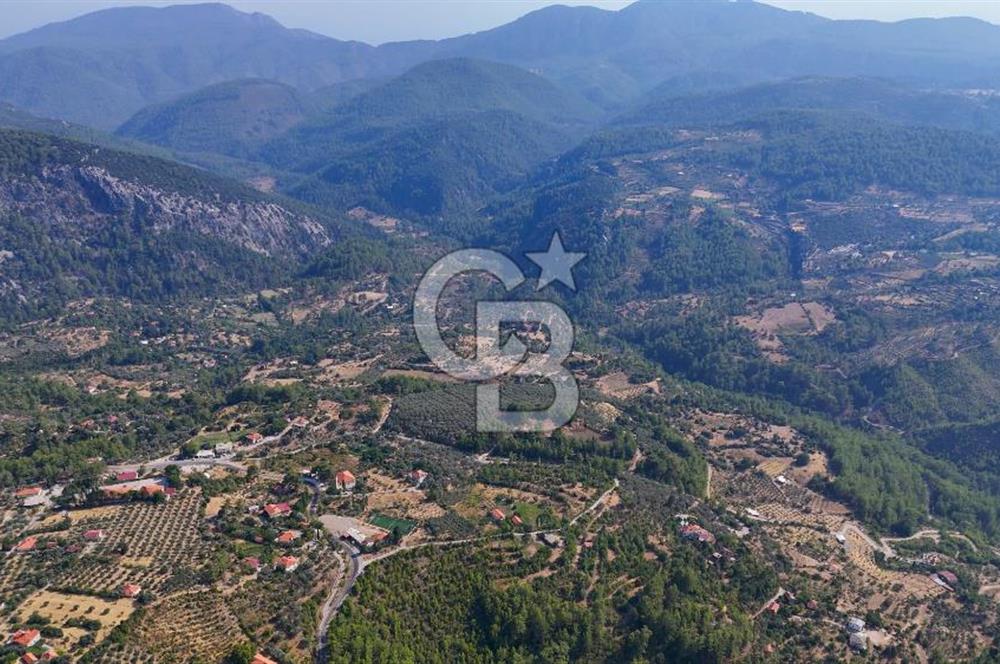 ÇÖĞMEN'DE GÖCEK VE MUHTEŞEM KOYLARA YAKIN KÖY "TARLA"
