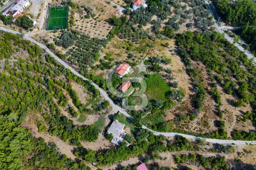 ÇÖĞMEN'DE GÖCEK VE MUHTEŞEM KOYLARA YAKIN KÖY "TARLA"