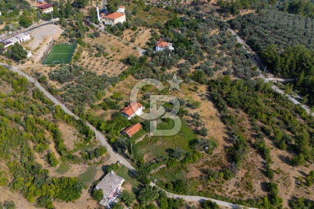 ÇÖĞMEN'DE GÖCEK VE MUHTEŞEM KOYLARA YAKIN KÖY "TARLA"
