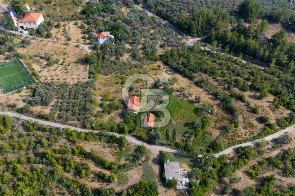 ÇÖĞMEN'DE GÖCEK VE MUHTEŞEM KOYLARA YAKIN KÖY "TARLA"
