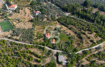 ÇÖĞMEN'DE GÖCEK VE MUHTEŞEM KOYLARA YAKIN KÖY "TARLA"