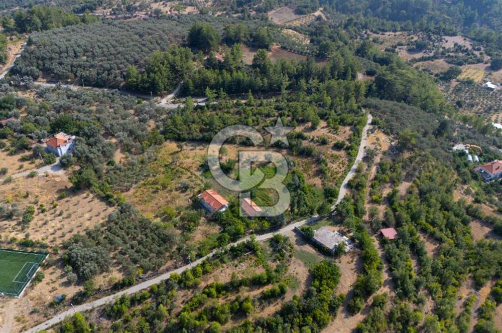 ÇÖĞMEN'DE GÖCEK VE MUHTEŞEM KOYLARA YAKIN KÖY "TARLA"