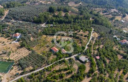 ÇÖĞMEN'DE GÖCEK VE MUHTEŞEM KOYLARA YAKIN KÖY "TARLA"