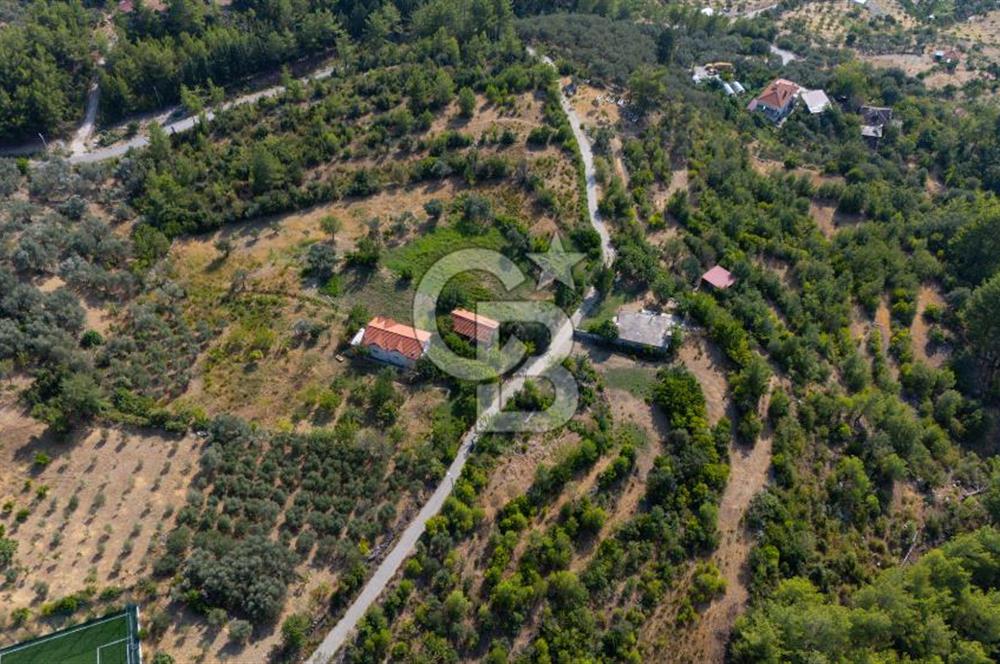ÇÖĞMEN'DE GÖCEK VE MUHTEŞEM KOYLARA YAKIN KÖY "TARLA"