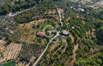 ÇÖĞMEN'DE GÖCEK VE MUHTEŞEM KOYLARA YAKIN KÖY "TARLA"