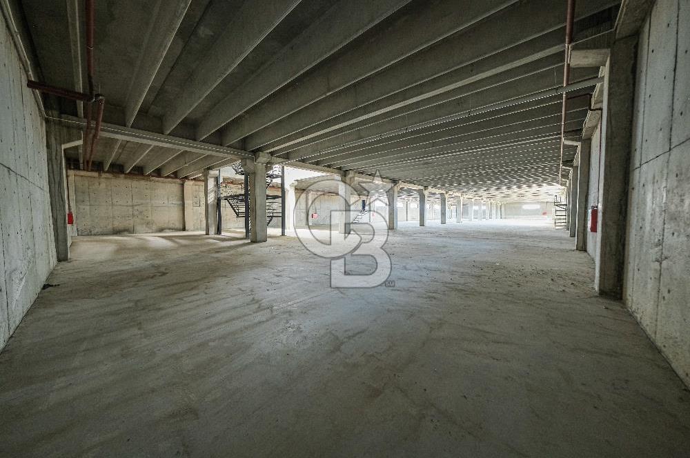 Veliköy Osb Yanı Kiralık