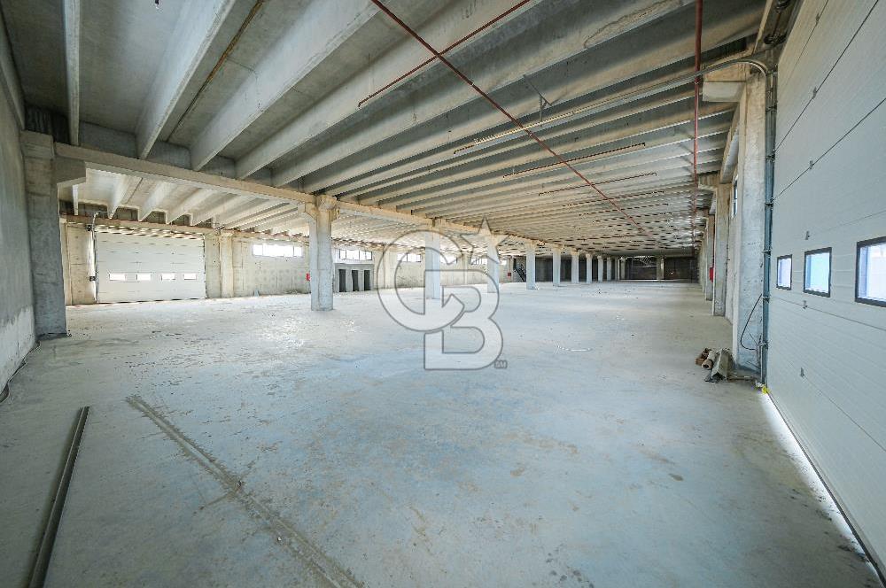 Veliköy Osb Yanı Kiralık