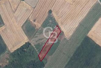 CB BLACK'TAN KARACABEY HARMANLI'DA YATIRIMLIK 1650m² TARLA