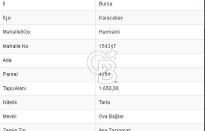 CB BLACK'TAN KARACABEY HARMANLI'DA YATIRIMLIK 1650m² TARLA