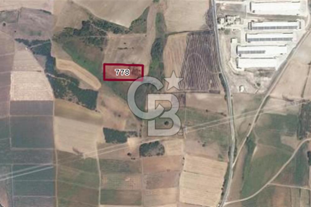 CB BLACK'TAN KARACABEY CANBAZ'DA 4000 M2 SATILIK TARLA