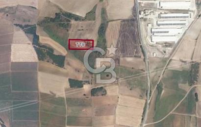 CB BLACK'TAN KARACABEY CANBAZ'DA 4000 M2 SATILIK TARLA
