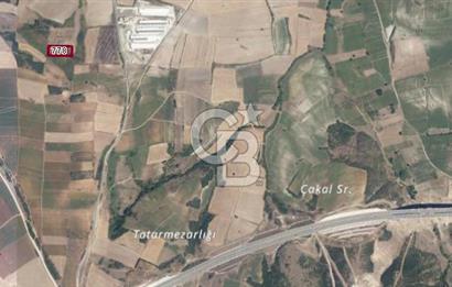 CB BLACK'TAN KARACABEY CANBAZ'DA 4000 M2 SATILIK TARLA