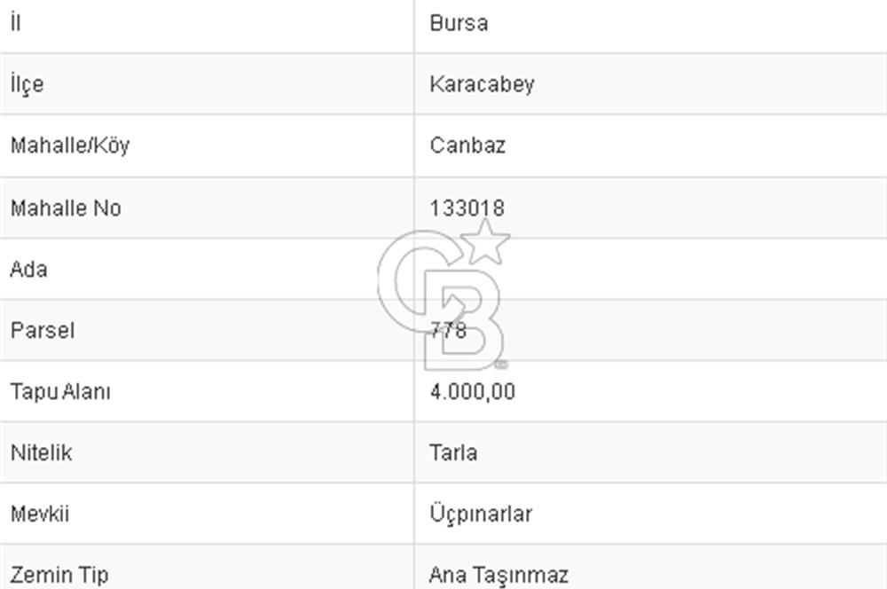 CB BLACK'TAN KARACABEY CANBAZ'DA 4000 M2 SATILIK TARLA