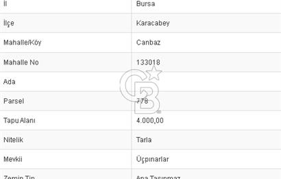 CB BLACK'TAN KARACABEY CANBAZ'DA 4000 M2 SATILIK TARLA