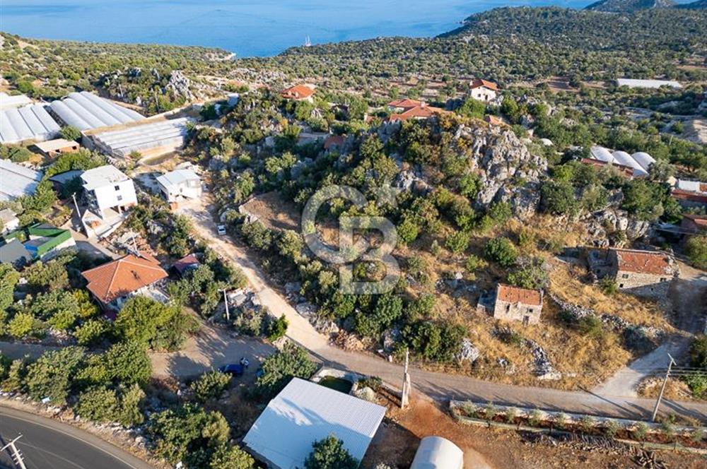 CB ARDENDEN ANTALYA DEMRE KAPAKLIDA 1452 M2 SATILIK TARLA