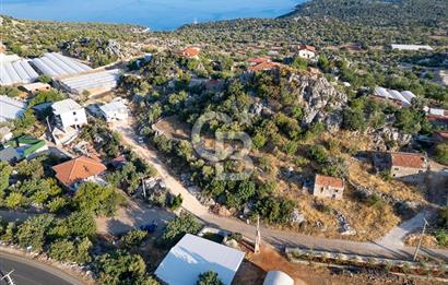 CB ARDENDEN ANTALYA DEMRE KAPAKLIDA 1452 M2 SATILIK TARLA