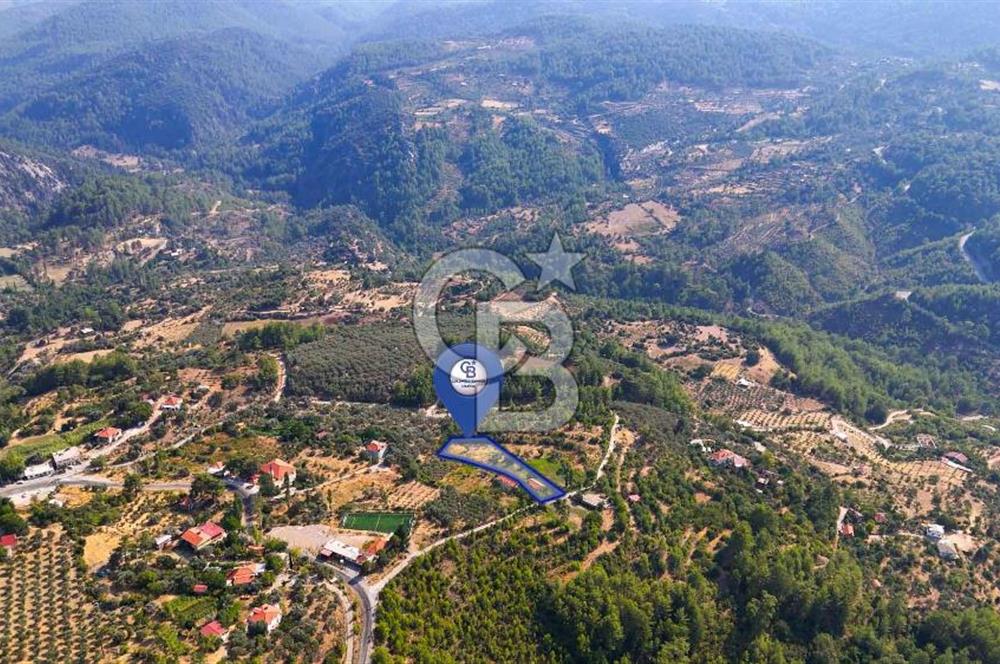 ÇÖĞMEN'DE GÖCEK VE MUHTEŞEM KOYLARA YAKIN KÖY "TARLA"