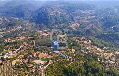 ÇÖĞMEN'DE GÖCEK VE MUHTEŞEM KOYLARA YAKIN KÖY "TARLA"