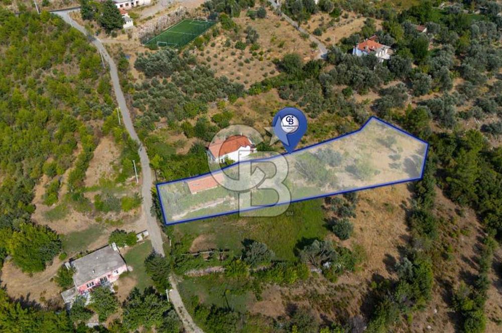 ÇÖĞMEN'DE GÖCEK VE MUHTEŞEM KOYLARA YAKIN KÖY "TARLA"