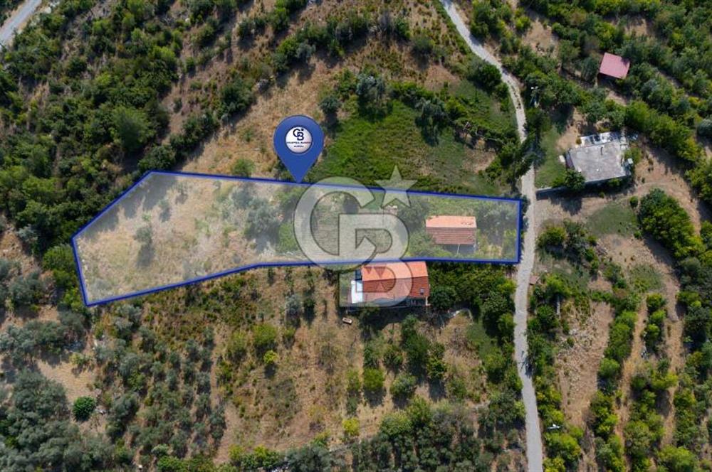 ÇÖĞMEN'DE GÖCEK VE MUHTEŞEM KOYLARA YAKIN KÖY "TARLA"