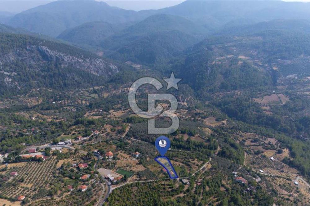 ÇÖĞMEN'DE GÖCEK VE MUHTEŞEM KOYLARA YAKIN KÖY "TARLA"