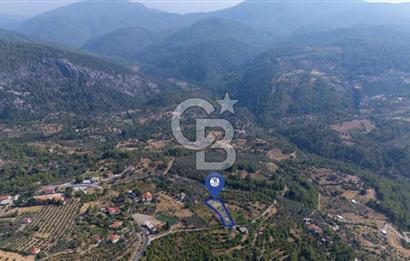 ÇÖĞMEN'DE GÖCEK VE MUHTEŞEM KOYLARA YAKIN KÖY "TARLA"