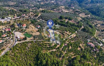 ÇÖĞMEN'DE GÖCEK VE MUHTEŞEM KOYLARA YAKIN KÖY "TARLA"