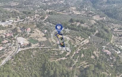 ÇÖĞMEN'DE GÖCEK VE MUHTEŞEM KOYLARA YAKIN KÖY "TARLA"