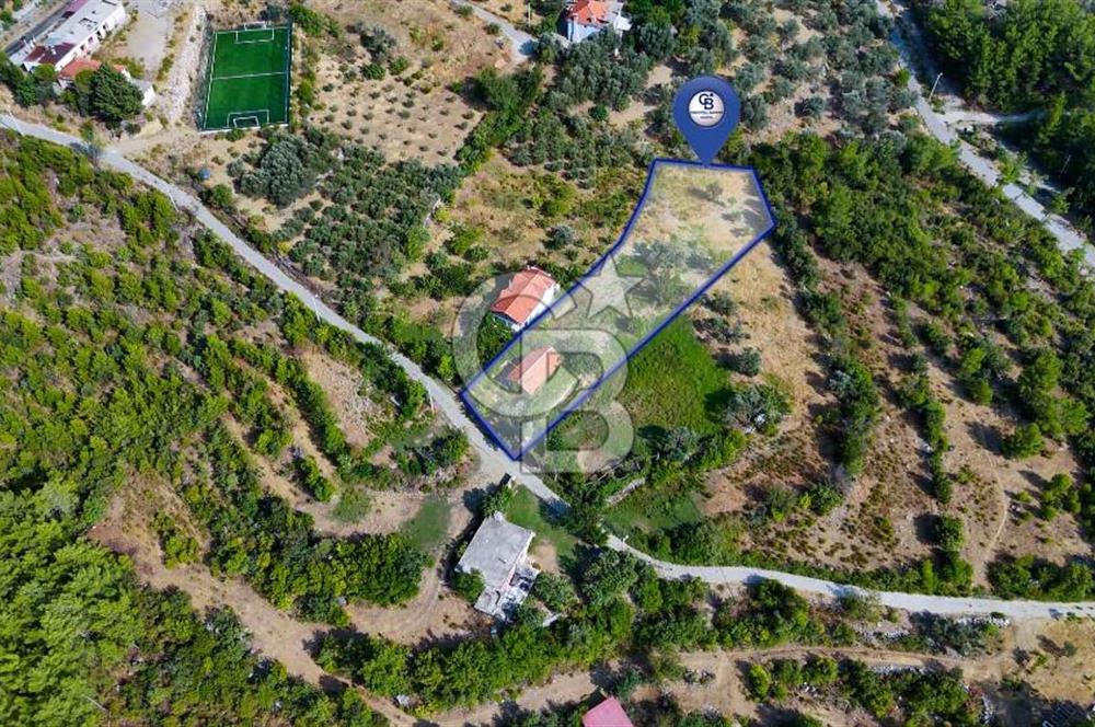 ÇÖĞMEN'DE GÖCEK VE MUHTEŞEM KOYLARA YAKIN KÖY "TARLA"