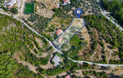 ÇÖĞMEN'DE GÖCEK VE MUHTEŞEM KOYLARA YAKIN KÖY "TARLA"