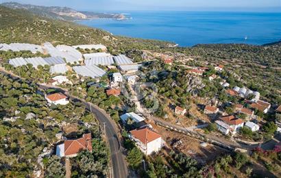 CB ARDENDEN ANTALYA DEMRE KAPAKLIDA 1452 M2 SATILIK TARLA
