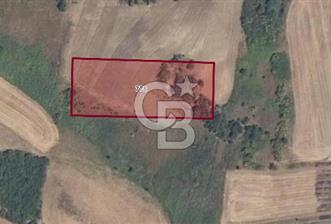 CB BLACK'TAN KARACABEY CANBAZ'DA 4000 M2 SATILIK TARLA