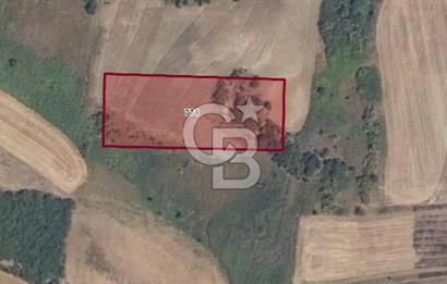 CB BLACK'TAN KARACABEY CANBAZ'DA 4000 M2 SATILIK TARLA