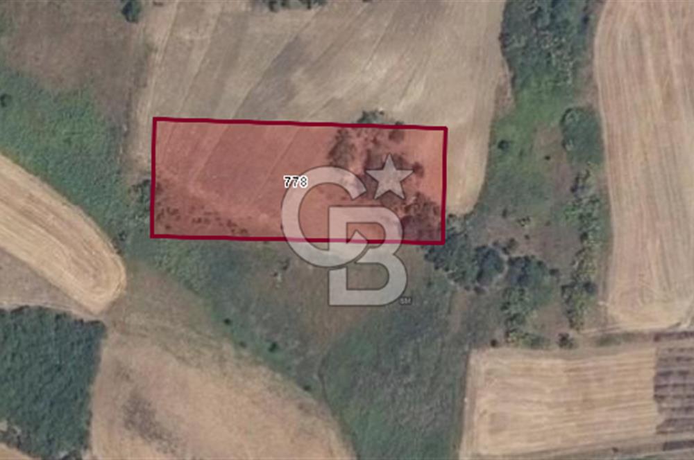 CB BLACK'TAN KARACABEY CANBAZ'DA 4000 M2 SATILIK TARLA