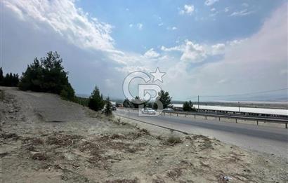 Acil Satılık Tarla Burdur Gökçebağ köyü 