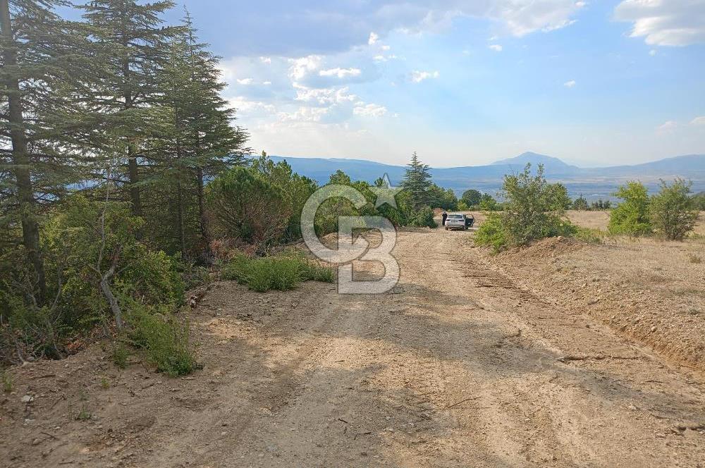 Acil Satılık Tarla Burdur Gökçebağ köyü 