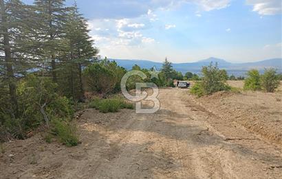 Acil Satılık Tarla Burdur Gökçebağ köyü 