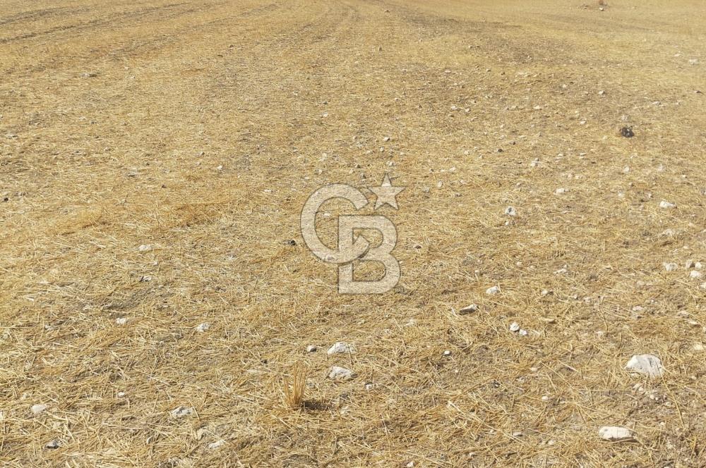 Gölbaşı Mahmatlıbahçede 16.507 m² Tarla, Büyük Parsel Yatırımı