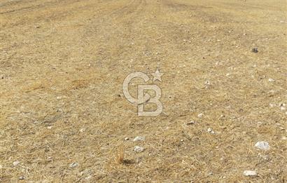 Gölbaşı Mahmatlıbahçede 16.507 m² Tarla, Büyük Parsel Yatırımı