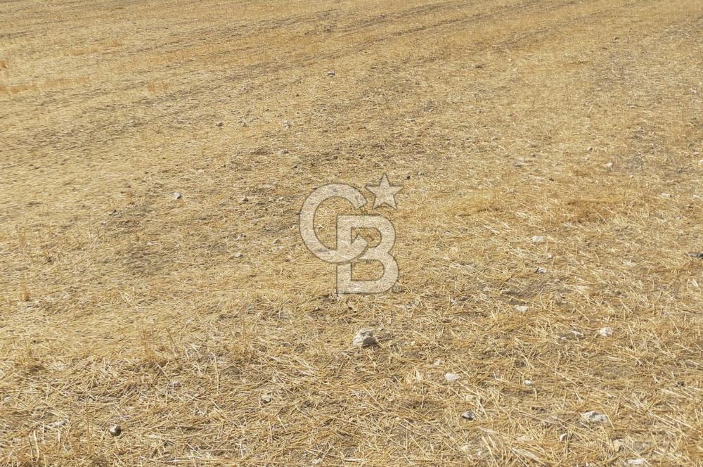 Gölbaşı Mahmatlıbahçede 16.507 m² Tarla, Büyük Parsel Yatırımı