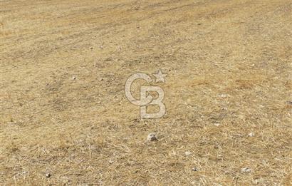 Gölbaşı Mahmatlıbahçede 16.507 m² Tarla, Büyük Parsel Yatırımı